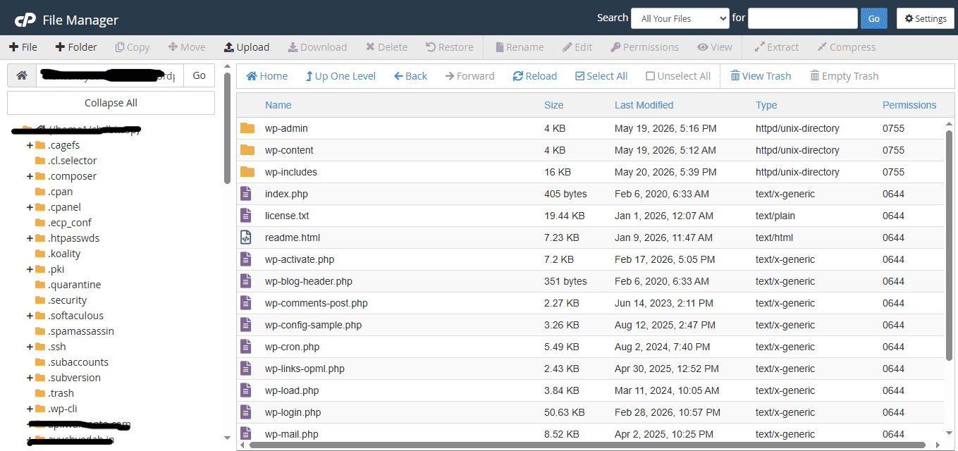 Wordpress files and folder